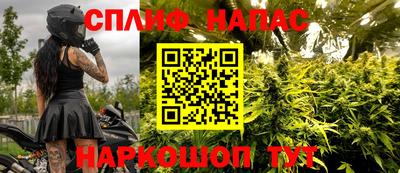 гашик Бузулук