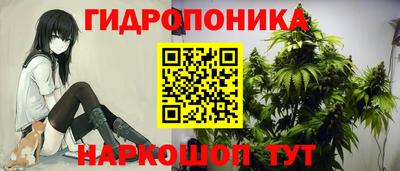 гашик Бузулук