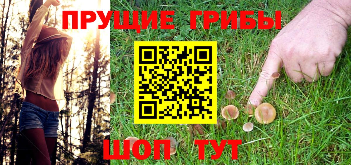 Лениногорск  Псилоцибиновые грибы мицелий  Вход с VPN 