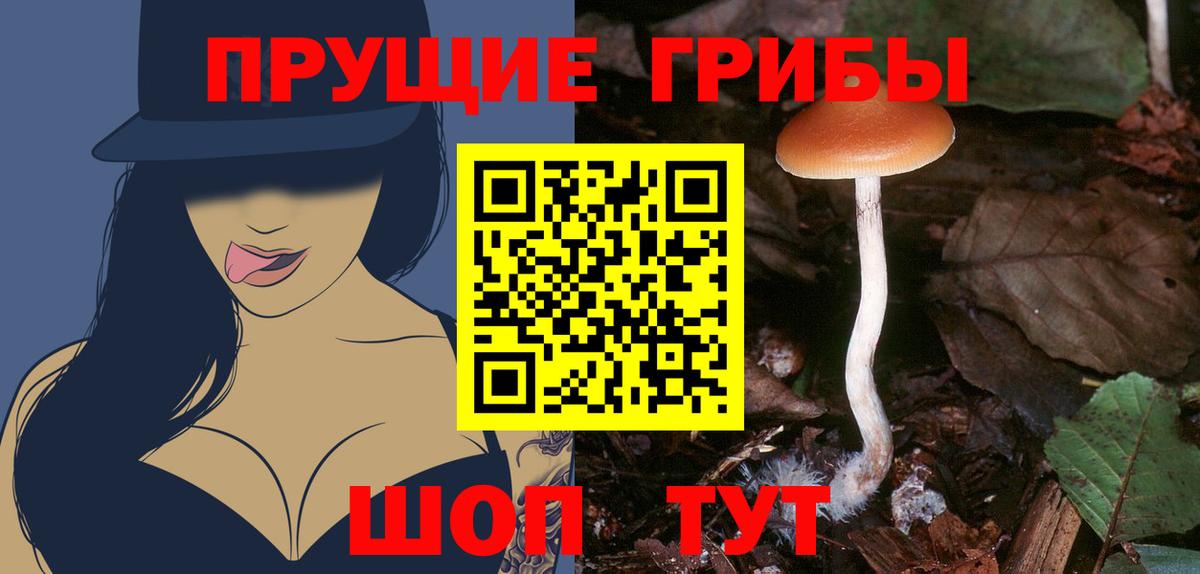 Галлюциногенные грибы прущие грибы Лениногорск